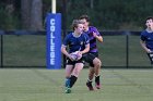 Men's Rugby vs Stonehill  Wheaton Men's Rugby vs Stonehill College. - Photo by Keith Nordstrom : Wheaton, Rugby, Stonehill